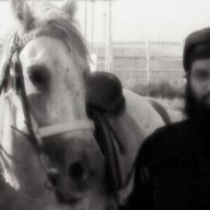 Muwahhid